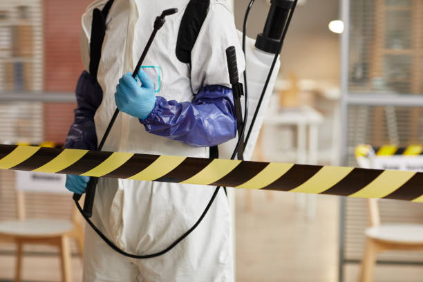 Professional Sewage Cleanup technician working in North Conway, NH
